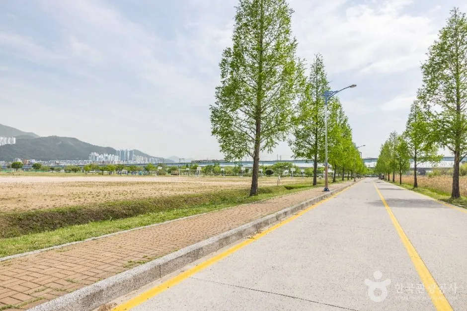 부산_대저생태공원 (17)