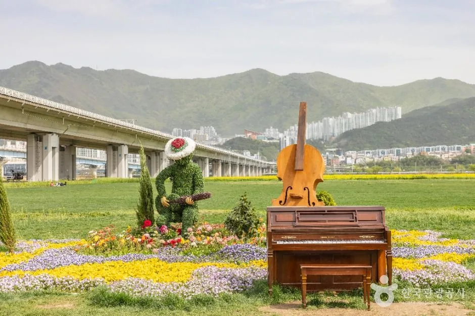 부산_대저생태공원 (6)