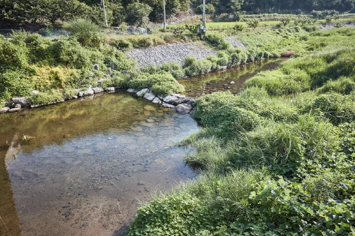 충남_부여군_거전마을 (5).jpg
