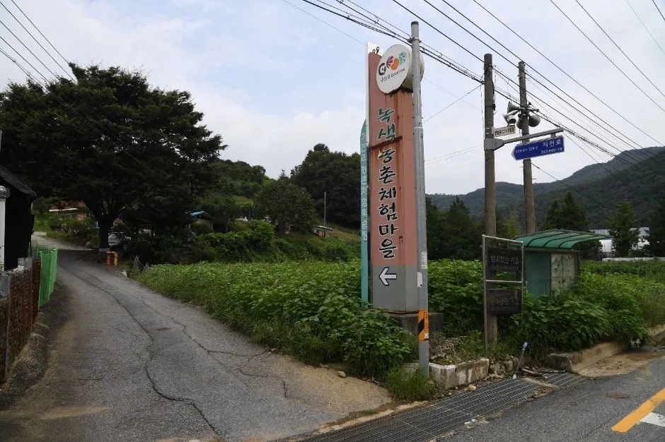 충남_부여군_거전마을 (2).jpg