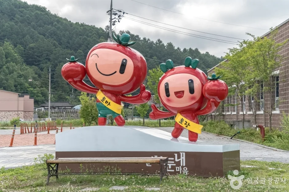둔내종합체육공원 (11)