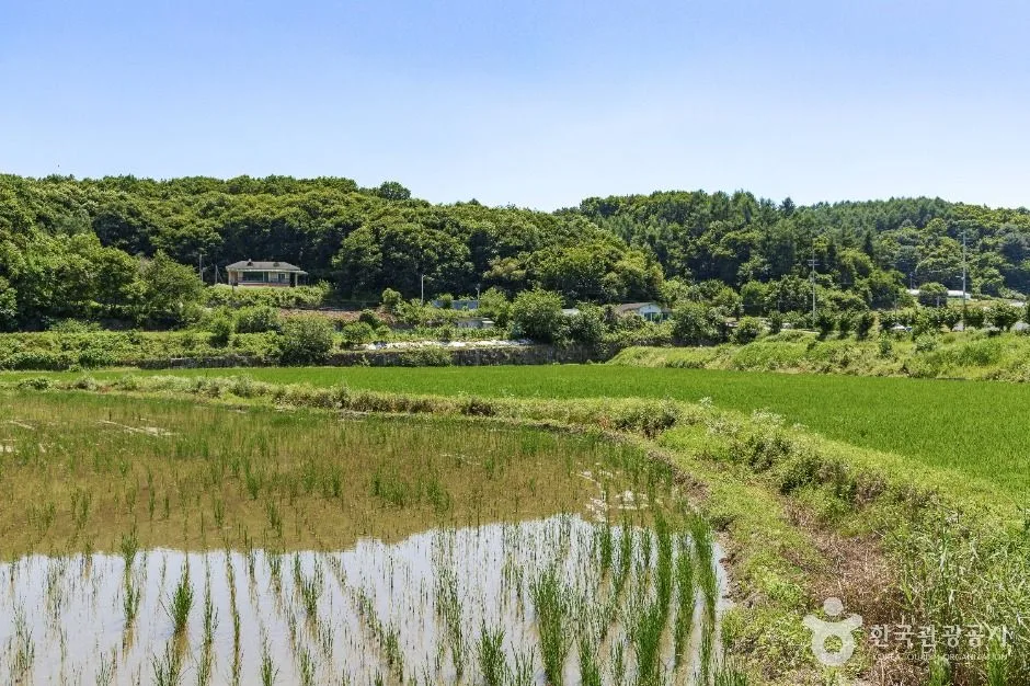 연천_연천 나룻배마을 (3)