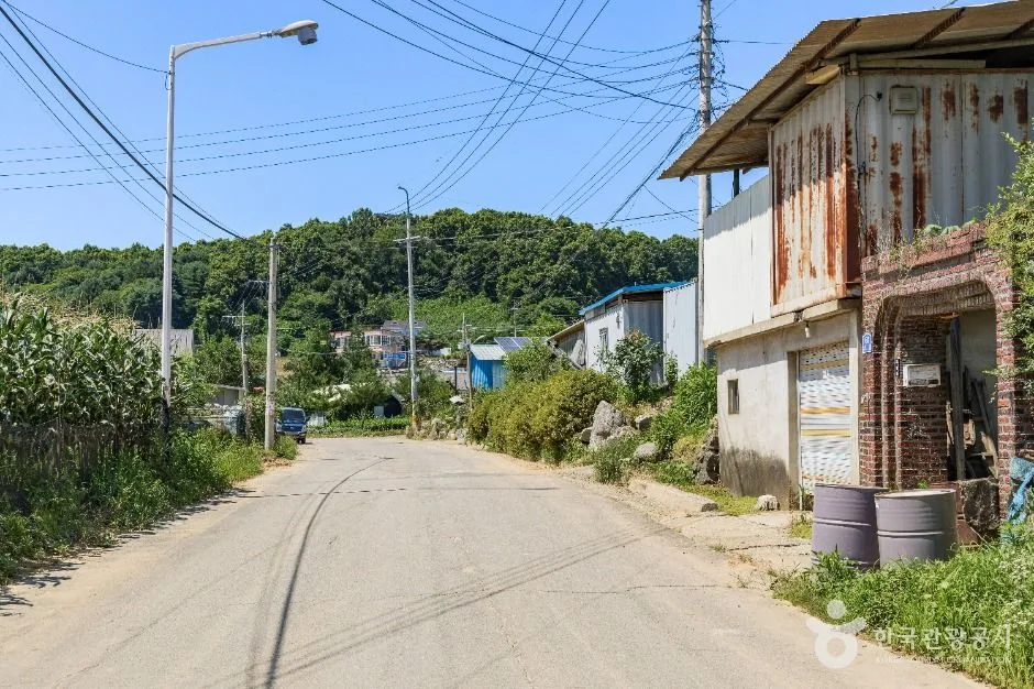 연천_연천 나룻배마을 (5)