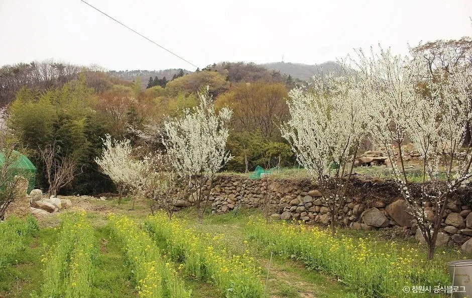 창원_성흥사 (3)