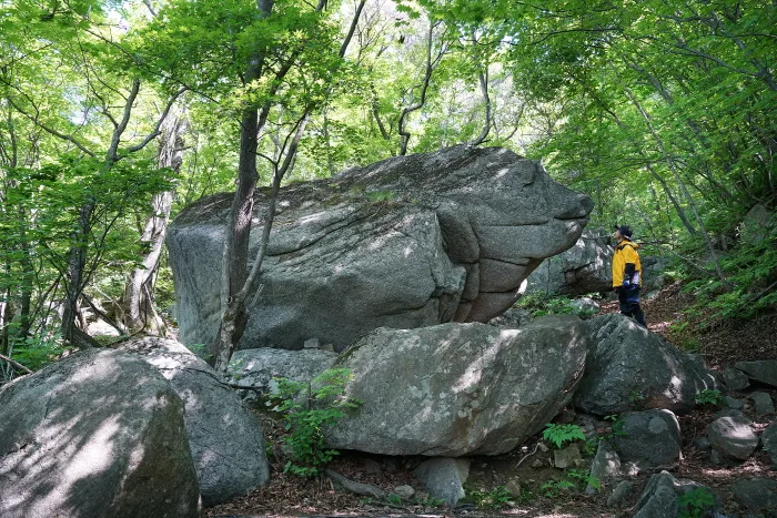 소백산 국망봉  돼지바위(1)