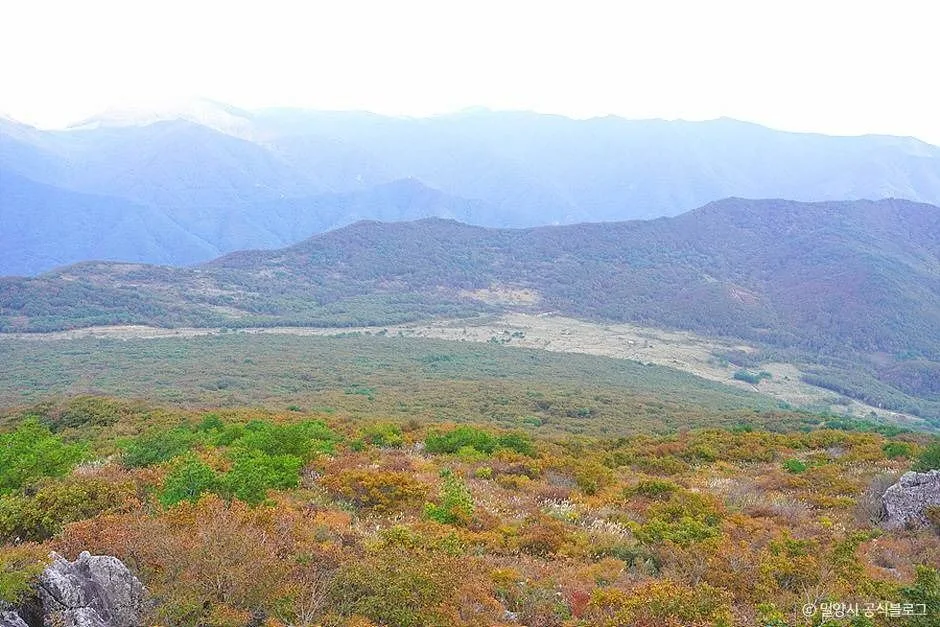 밀양_재약산 (5)