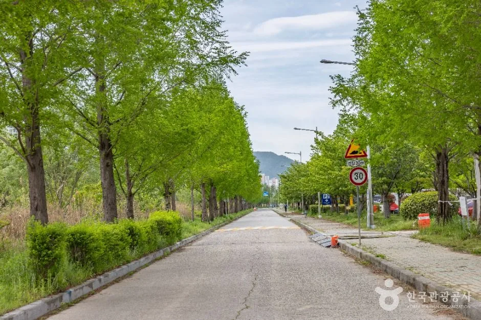 부산_화명생태공원 (8)