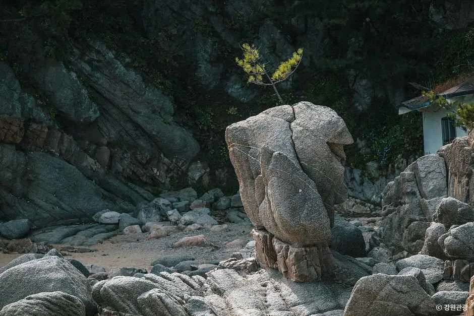 강원도_고성_부채바위 (1)