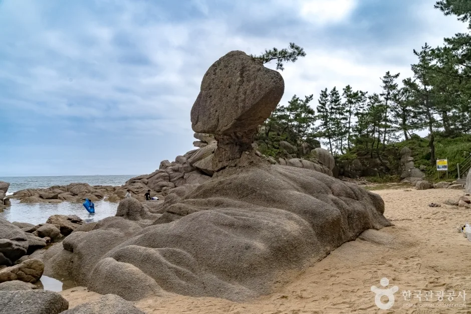 고성_송지호 해안 서낭바위 (7)