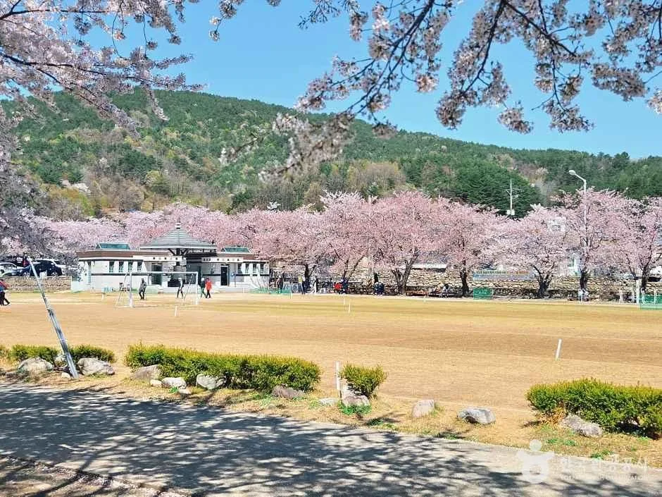 상도문돌담마을 (1)
