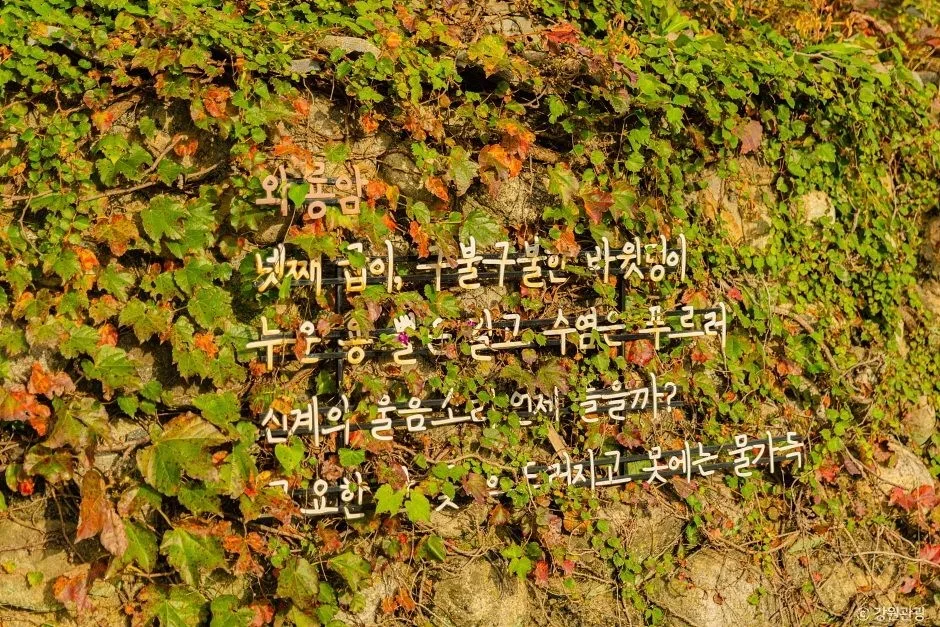 강원_속초_상도문 돌담마을_외부_7.jpg