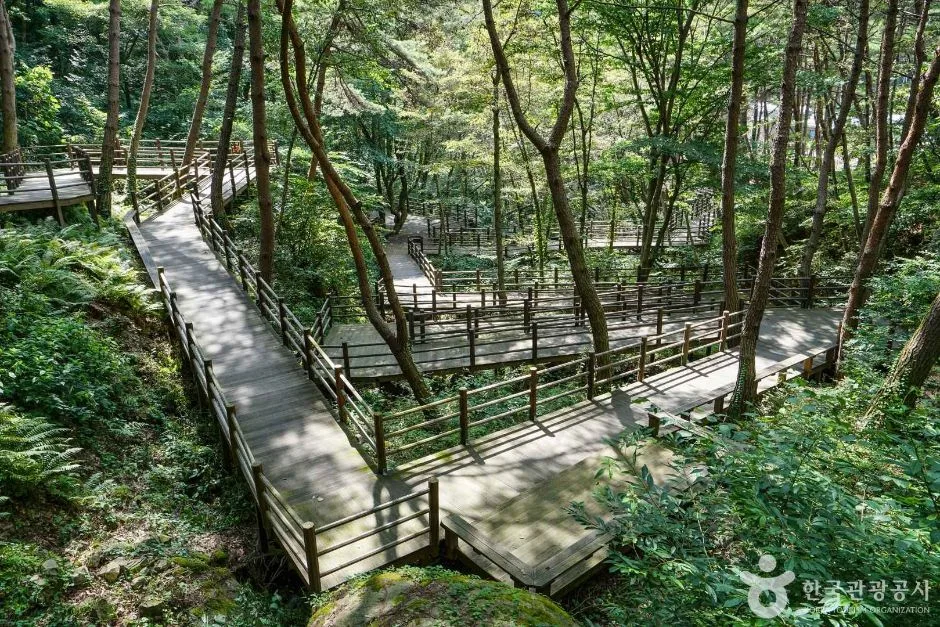 거창_치유의숲 무장애길 (3)