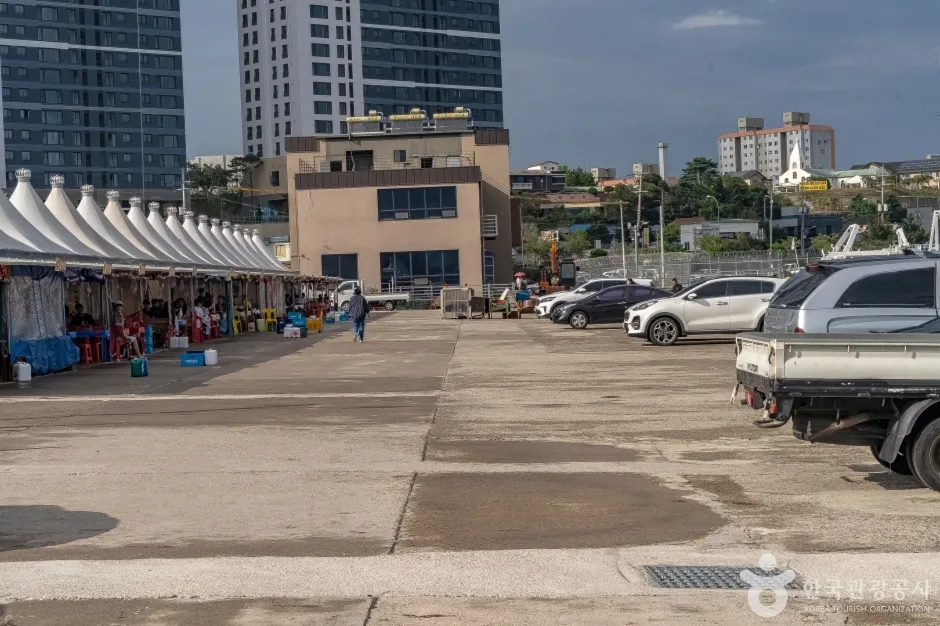 동명항오징어난전7