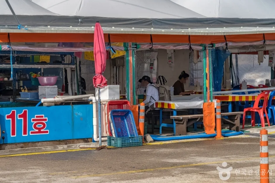 동명항오징어난전13