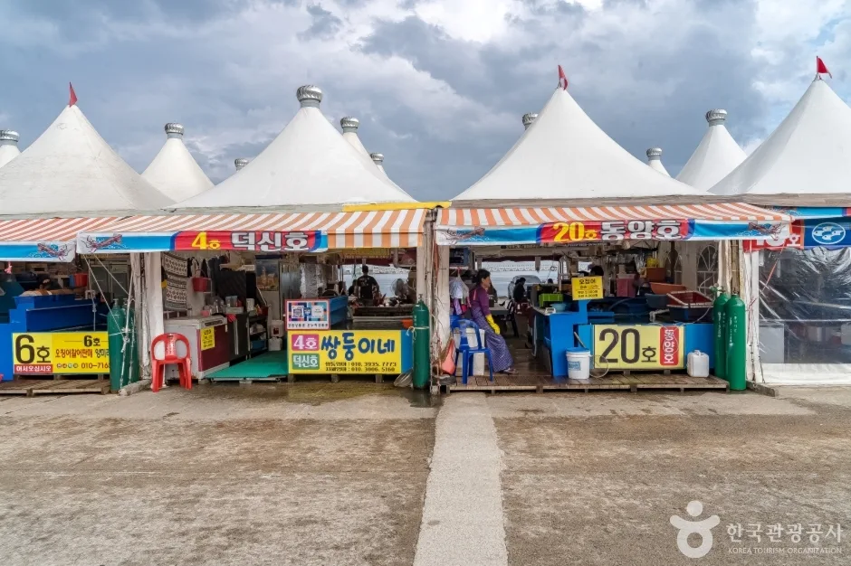 동명항오징어난전11