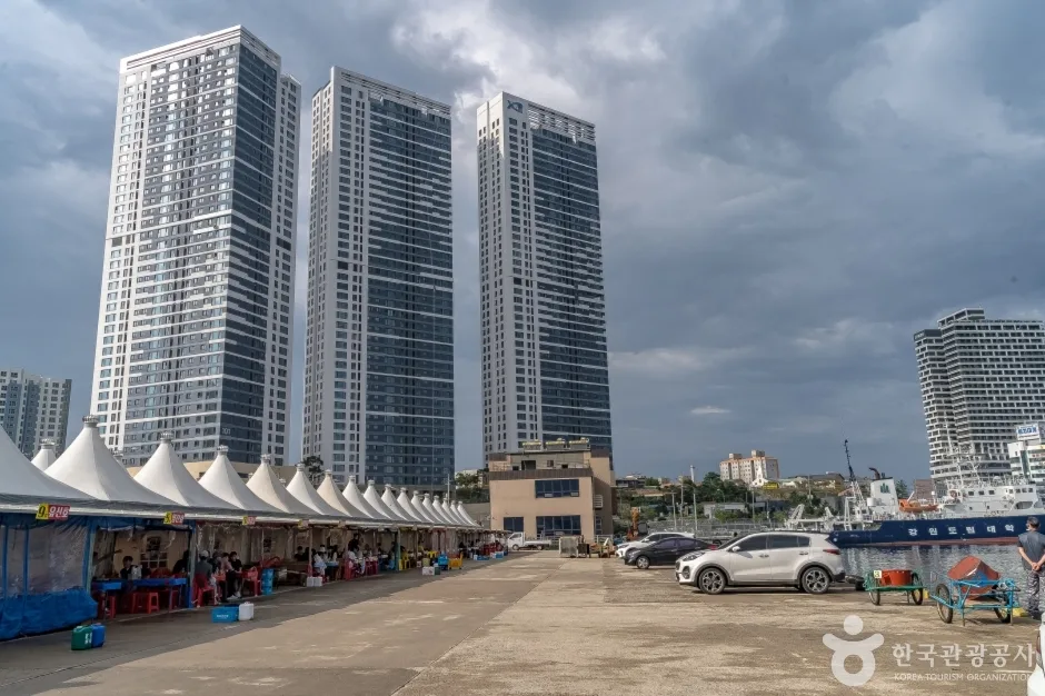 동명항오징어난전4