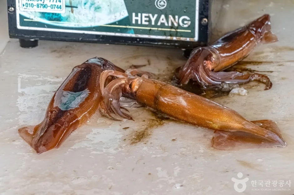 동명항오징어난전17