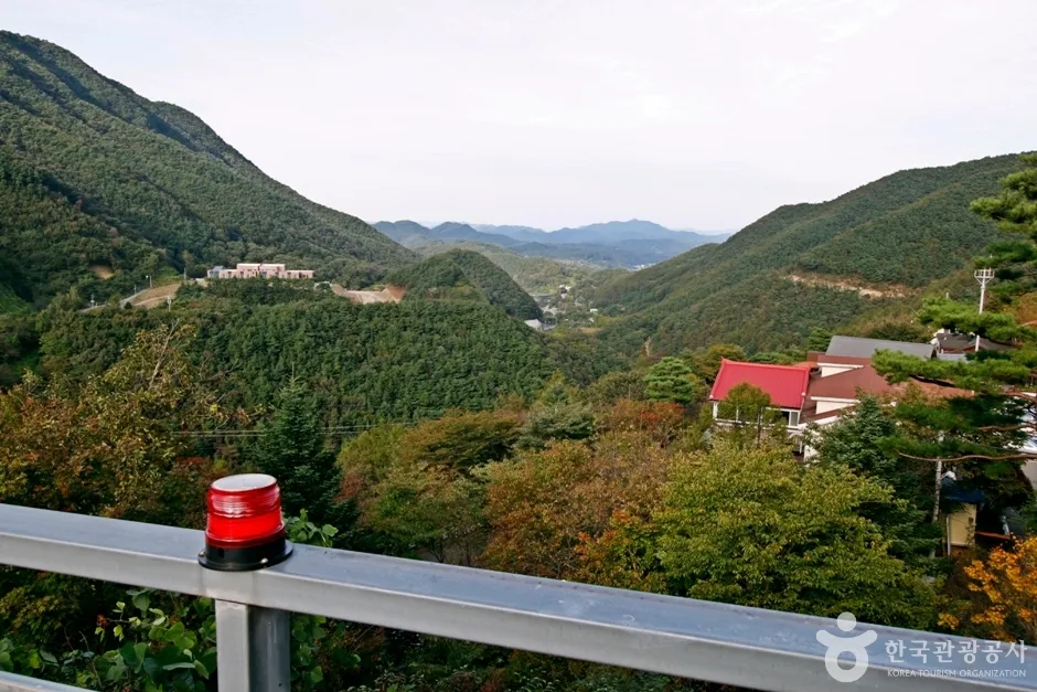 대둔산자연휴양림 (11)