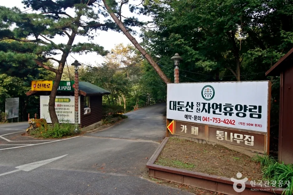 대둔산자연휴양림 (12)