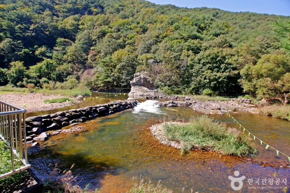 충북_보은_서원계곡 (1)