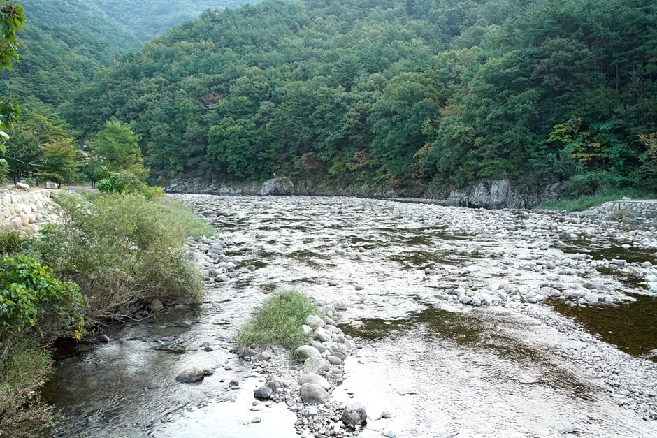 공수전계곡 (5)