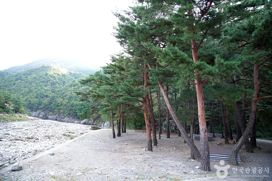 공수전계곡 (6)