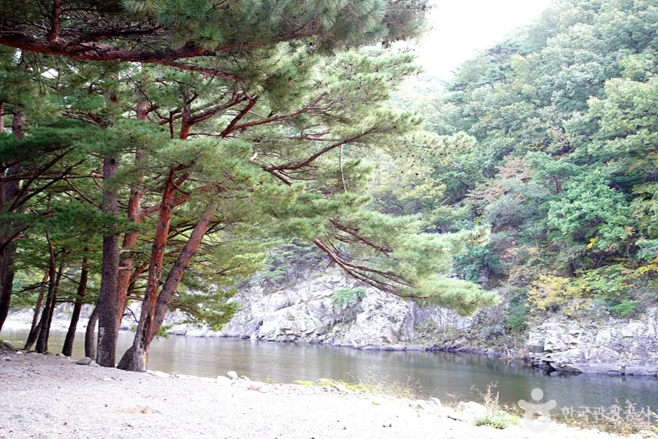공수전계곡 (3)