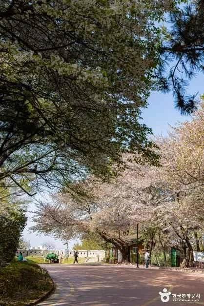 인천_중구_월미산 월미공원 (3)