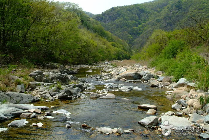 동상운장산계곡_04