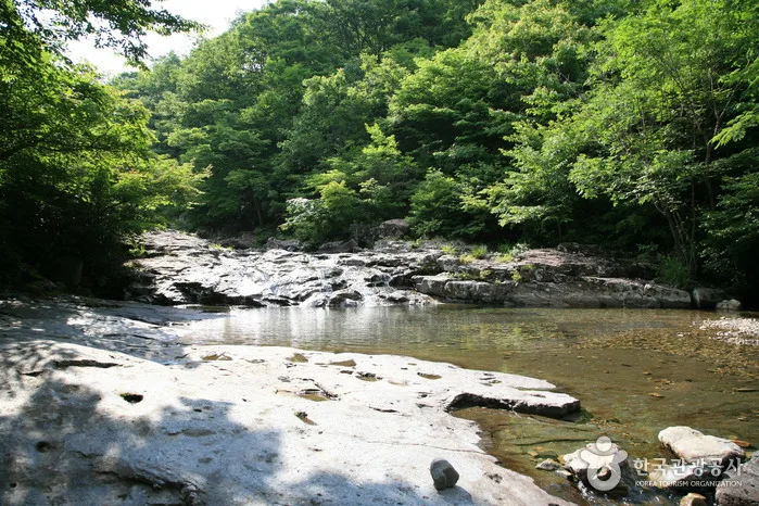 운장산 자연휴양림_05