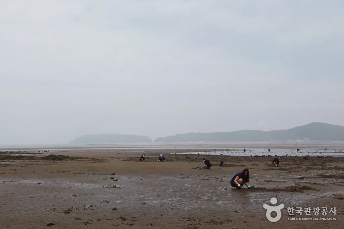 조개 캐고, 쏙 잡고, 맨손 고기잡이까지