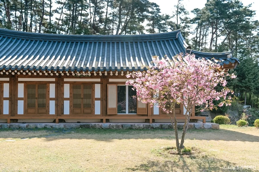 경북_칠곡군_수림사 (4).jpg