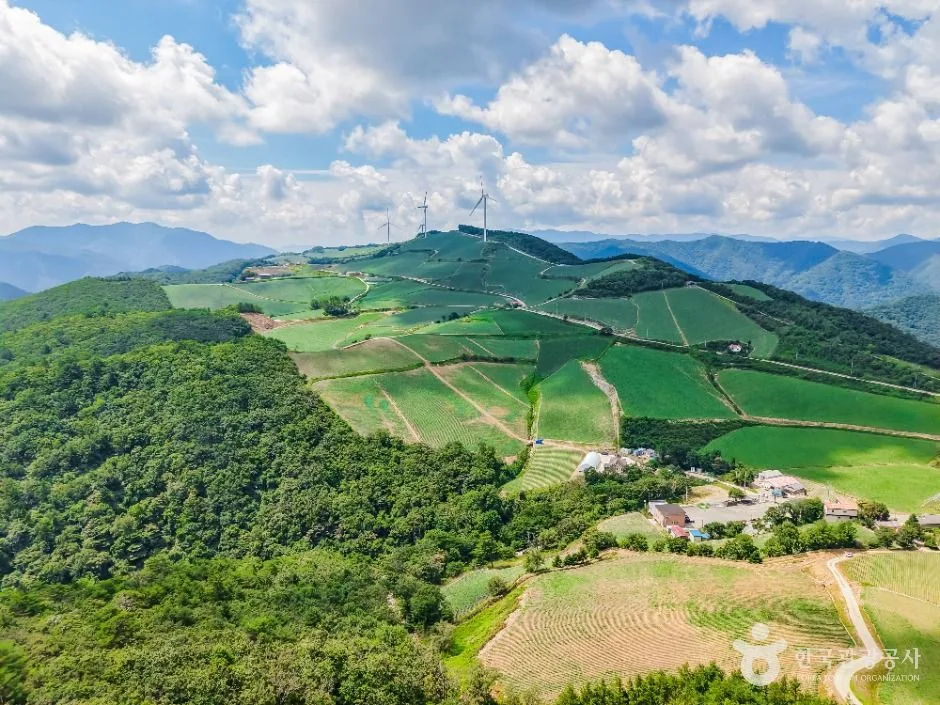 강릉_안반데기 (7)