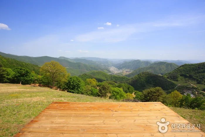 관광두레 평창 와우미탄 기사사진 7