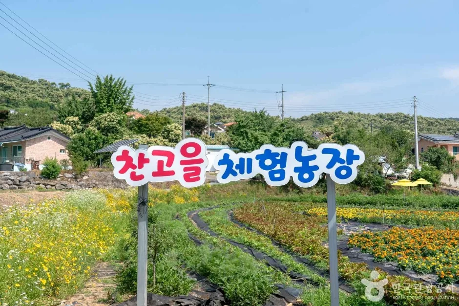 2024 관광두레 7월기사 충남 청양 꽃이 머무는 자리 (찬고을) 5