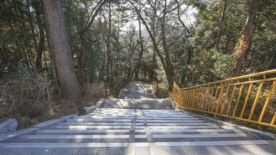창원_제황산공원 (3)