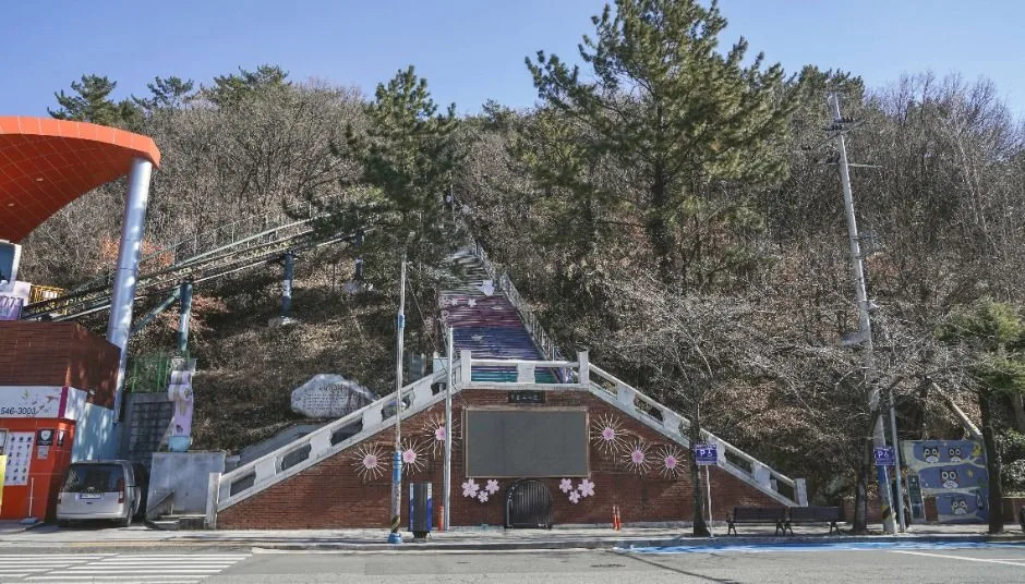 창원_제황산공원 (2)