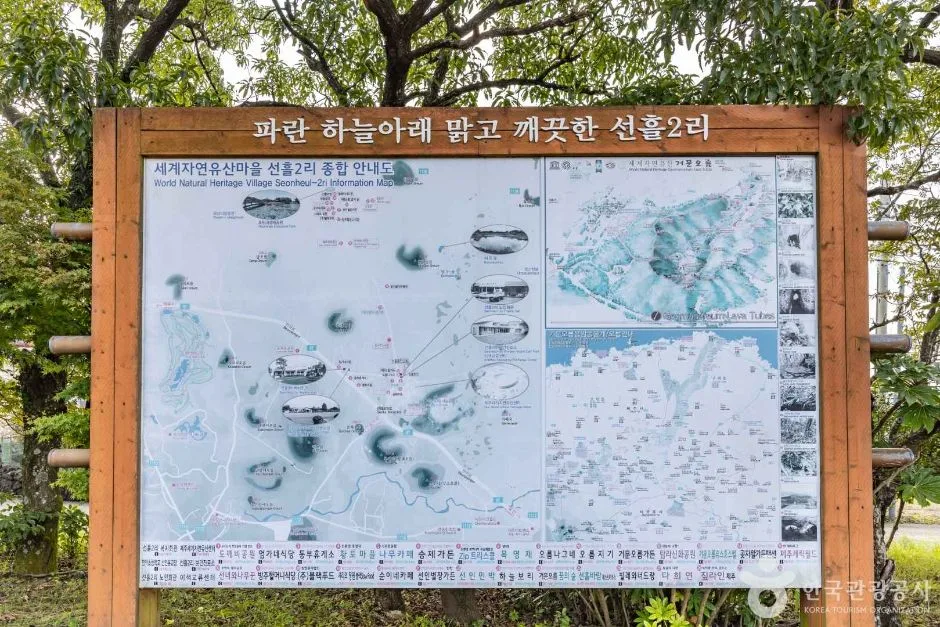 제주_제주_선흘2리마을 (1)