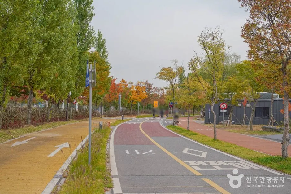 서울_난지한강공원 (9)