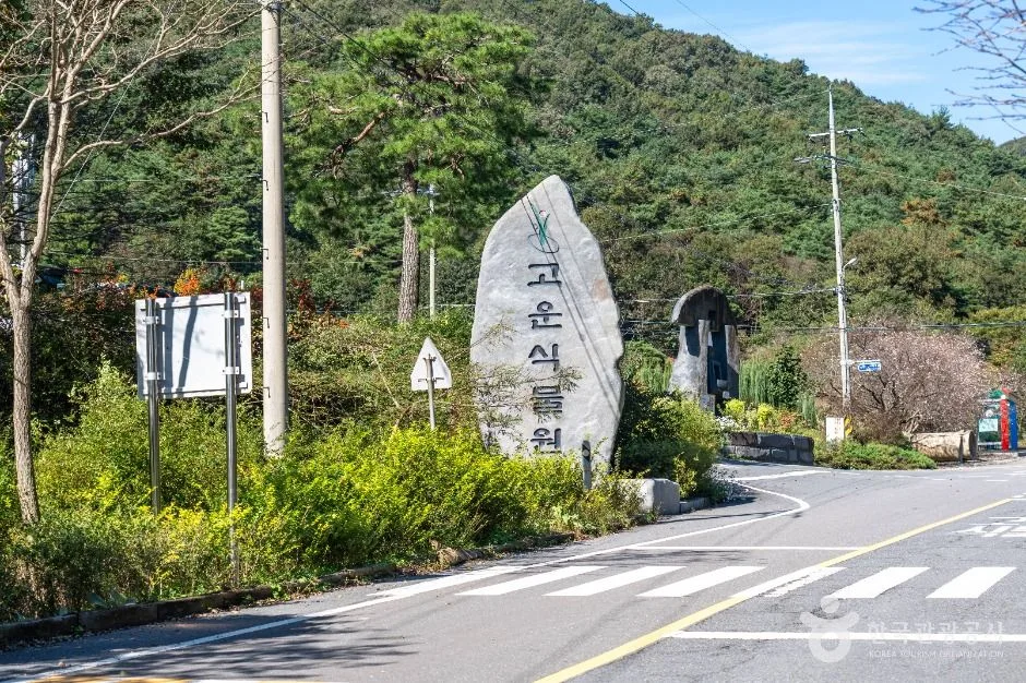 충남_청양_고운식물원11