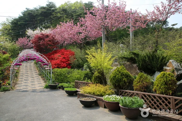 충남_청양_고운식물원_외부_02.jpg