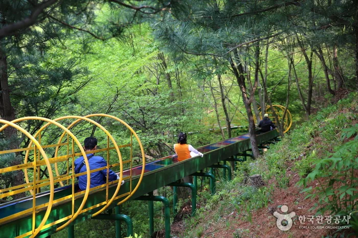 충남_청양_고운식물원06