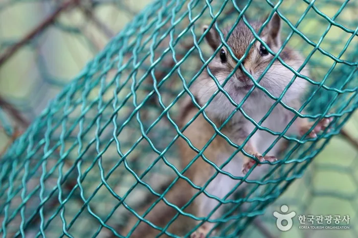 고운식물원