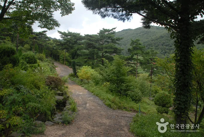청양군_고운식물원 (4)