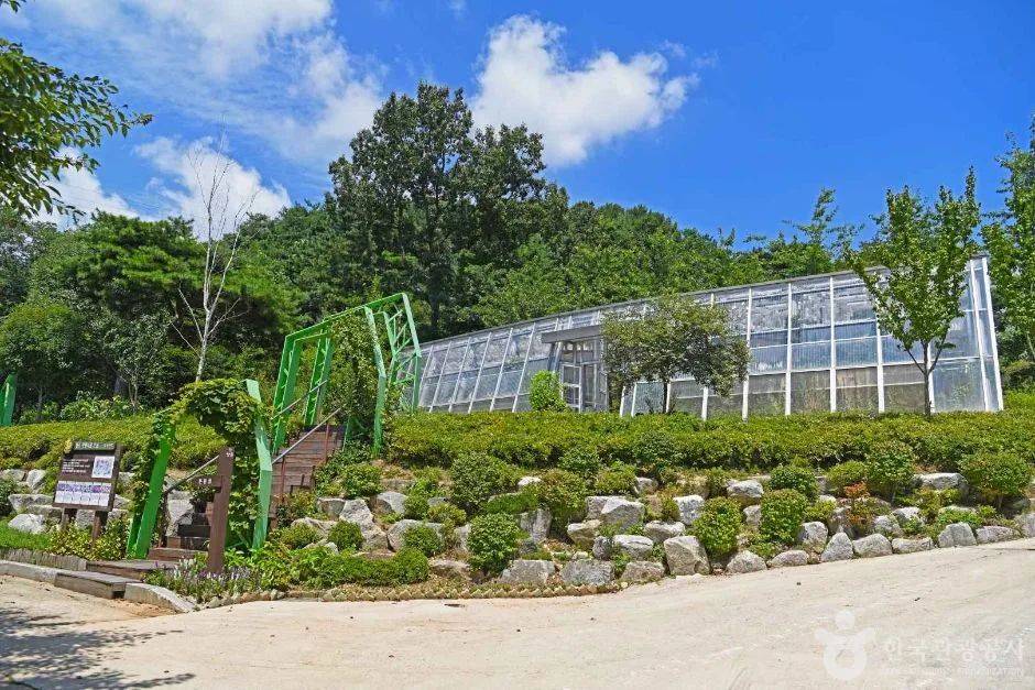 뜬봉샘생태공원 (7)