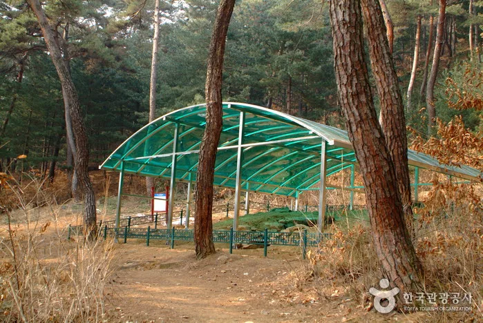 방동리 고구려고분