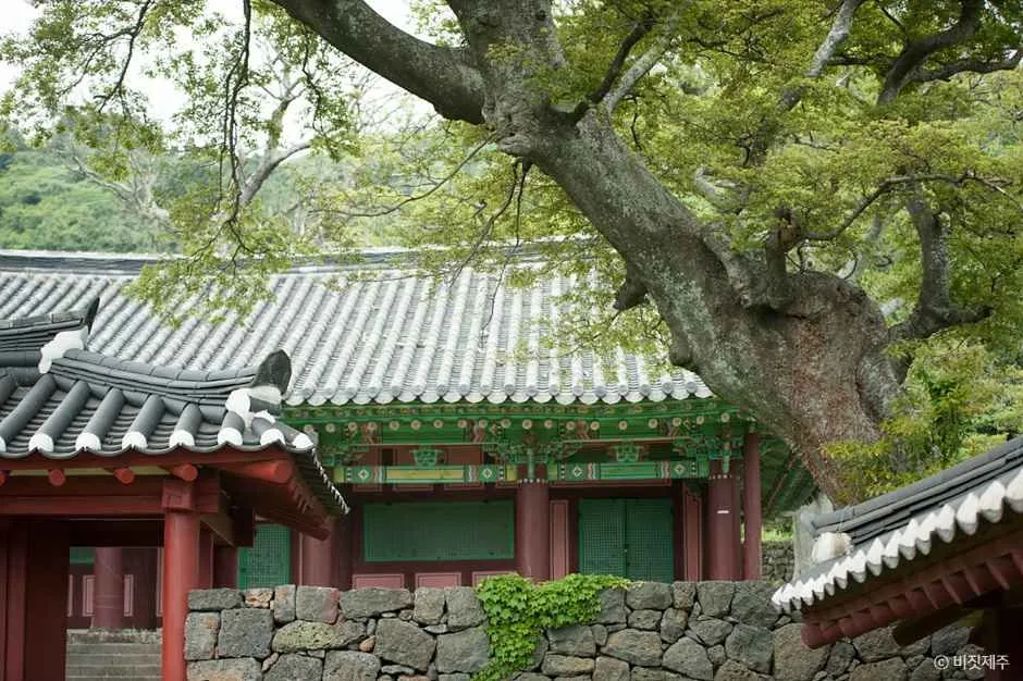 서귀포_대정향교 (5).jpg