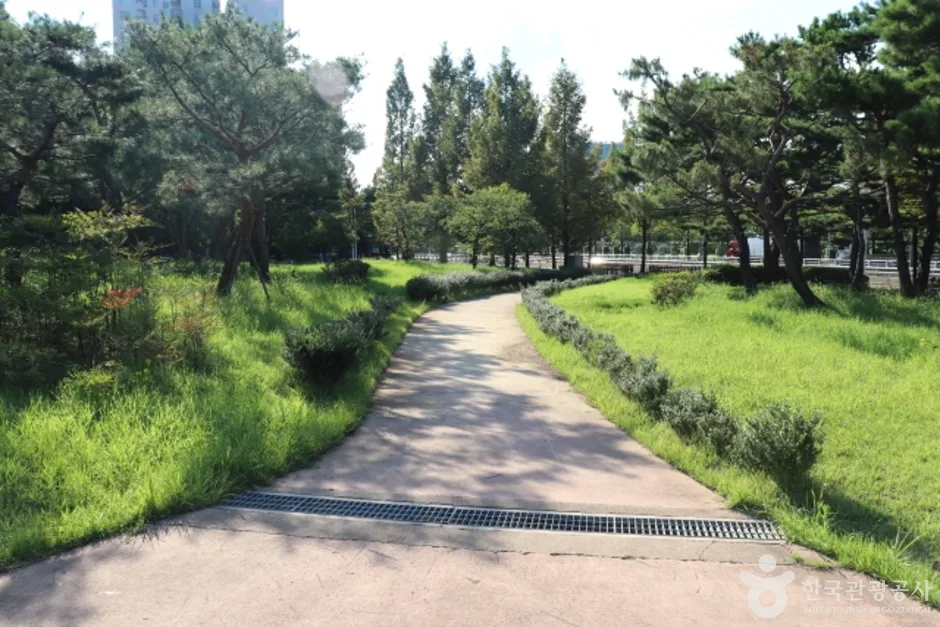 정부대전청사 자연마당 (8)