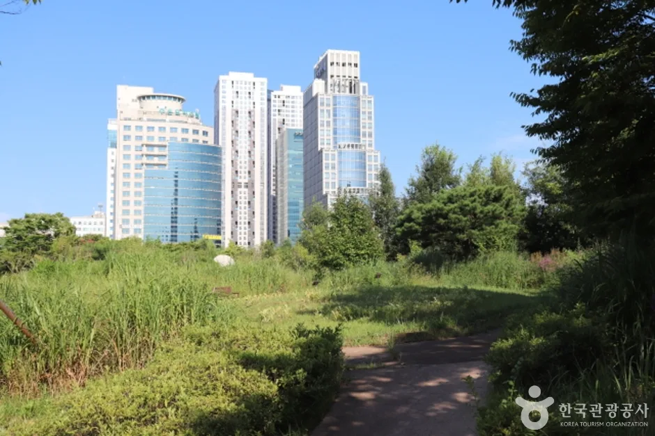 정부대전청사 자연마당 (10)