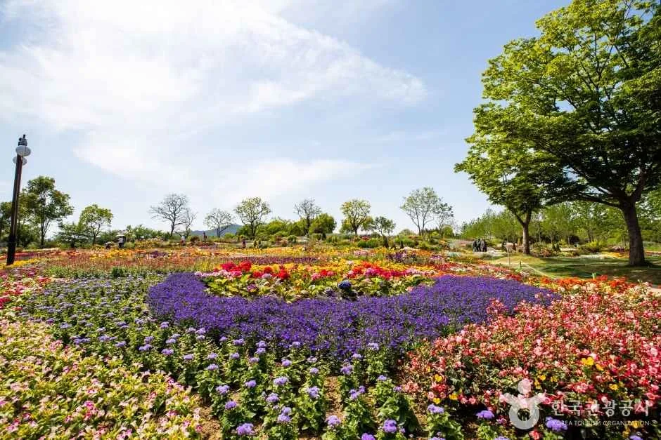 순천만 국가정원 (3)